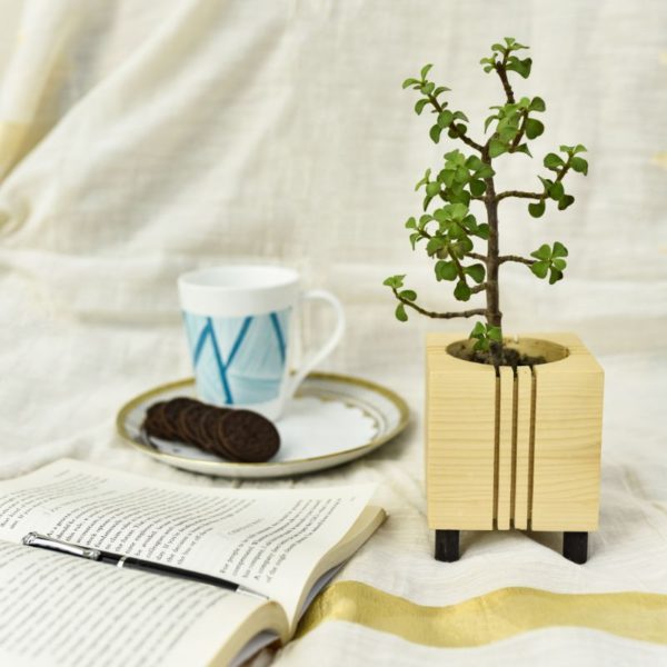 square planter -1